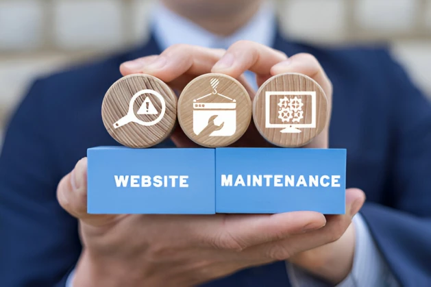 Solutions We Offered